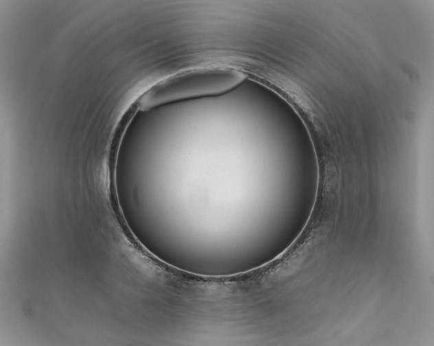 X0000111190936200907011409