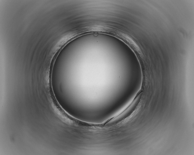 X0000111190938200907011409