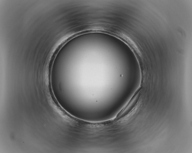 X0000111190939200907011409