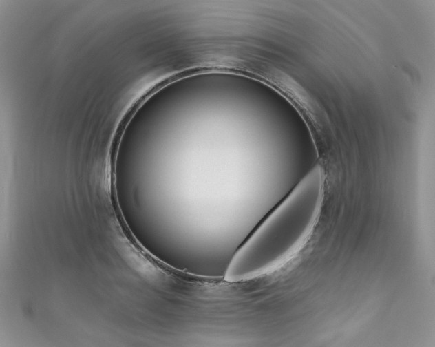 X0000111190940200907011409