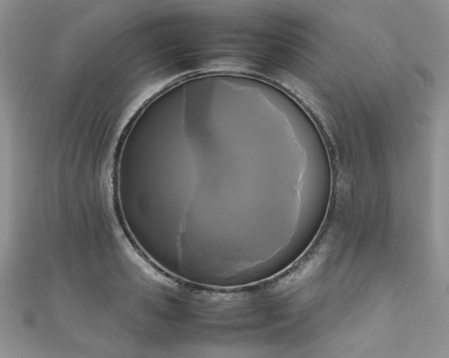 X0000111190941200907011409