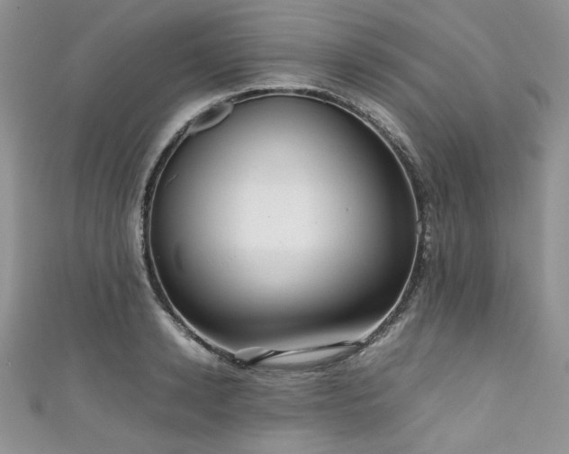 X0000111190942200907011409