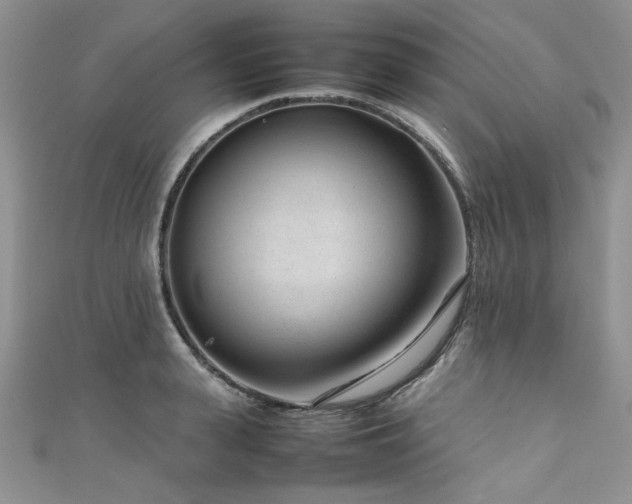 X0000111190943200907011409