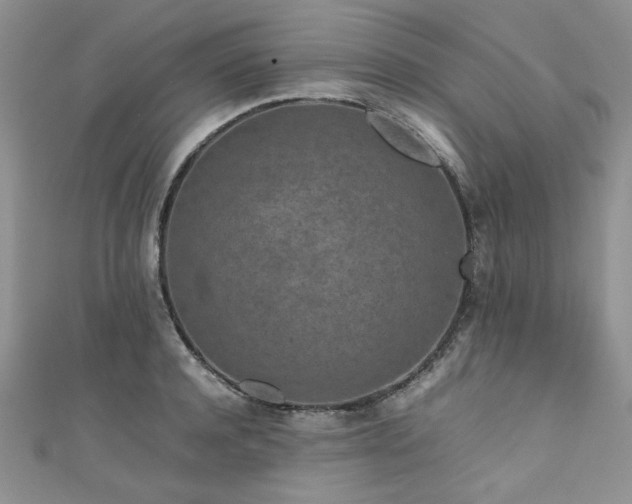 X0000111190944200907011409