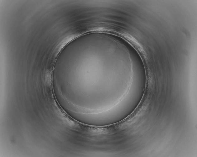 X0000111190945200907011409