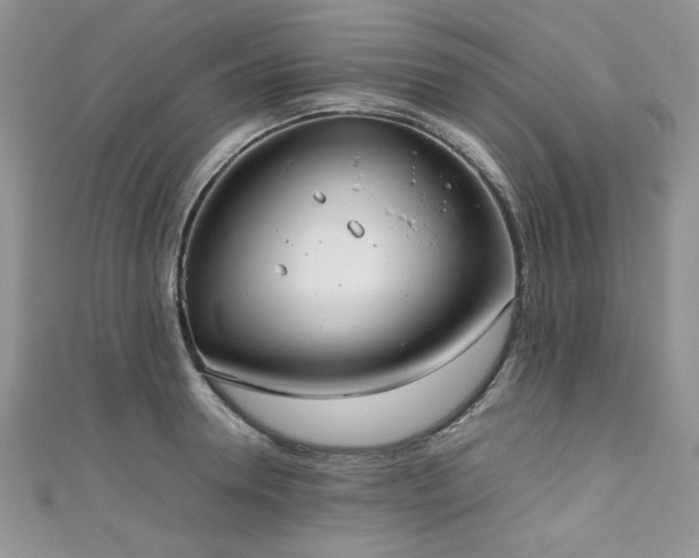 X0000111190946200907011409