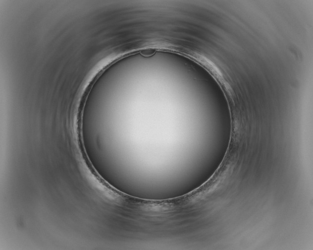 X0000111190947200907011409