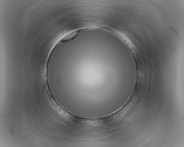 X0000111190948200907011409