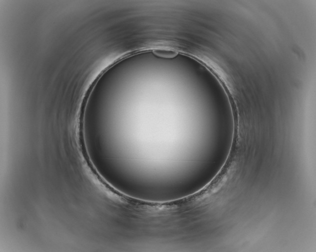 X0000111190949200907011409