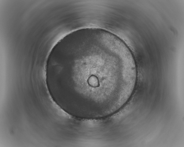 X0000111190950200907011409