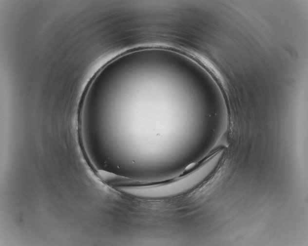 X0000111190951200907011409