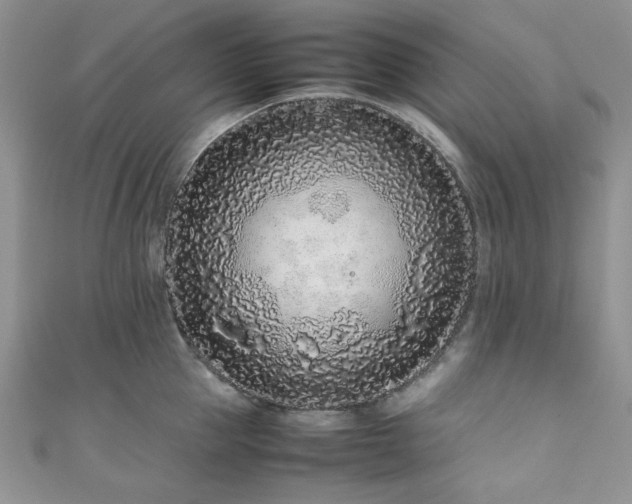 X0000111190953200907011409