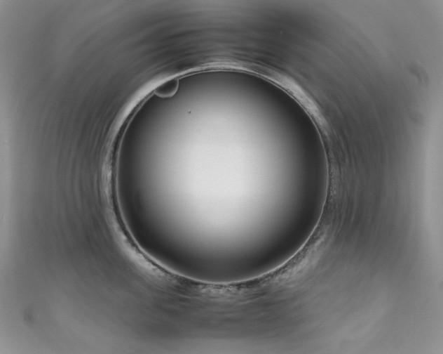 X0000111190955200907011409