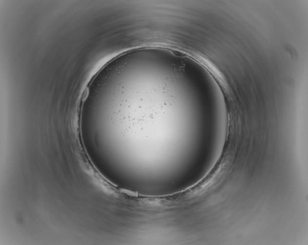 X0000111190956200907011409