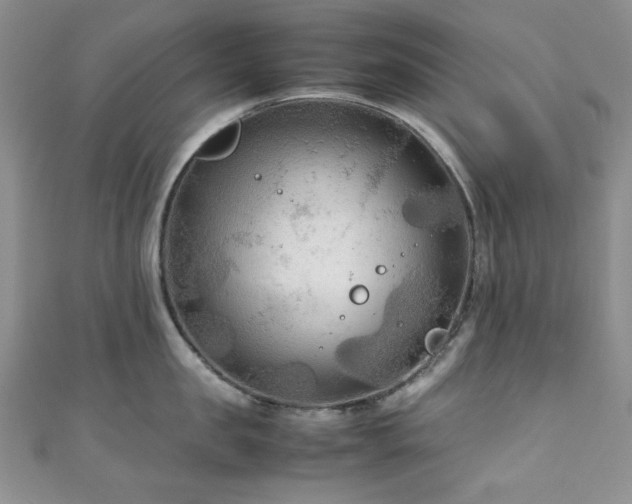 X0000111190957200907011409