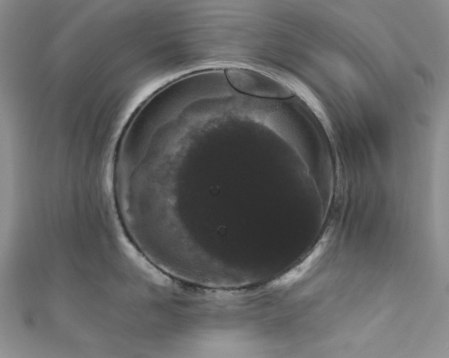 X0000111190958200907011409