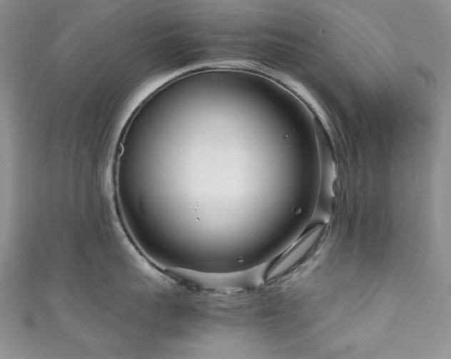 X0000111190959200907011409