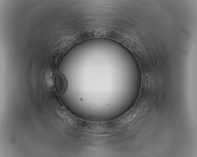 X0000111190962200907011409