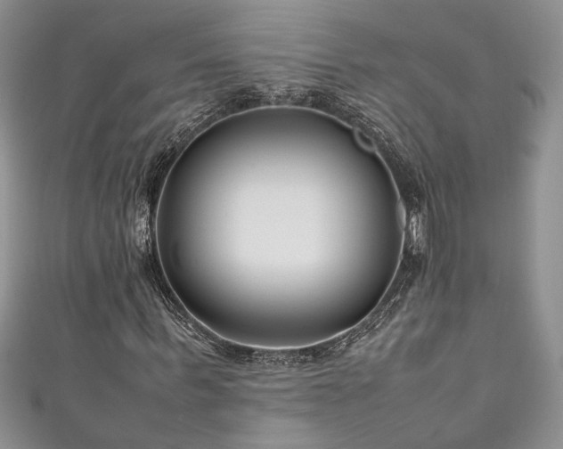 X0000111190963200907011409