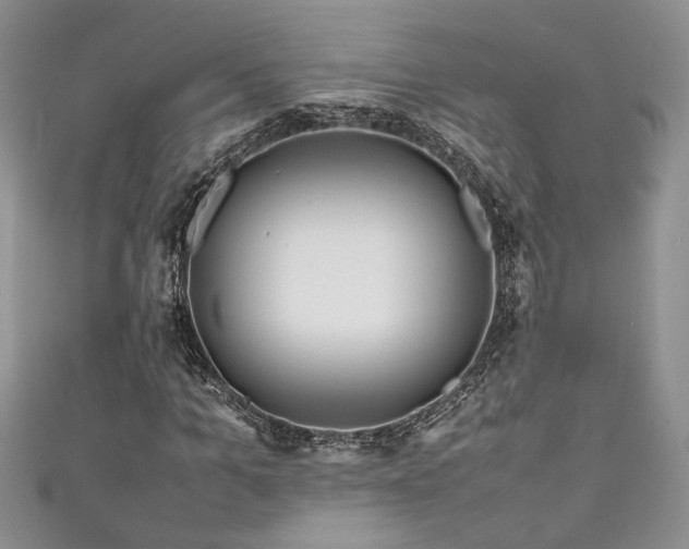 X0000111190965200907011409