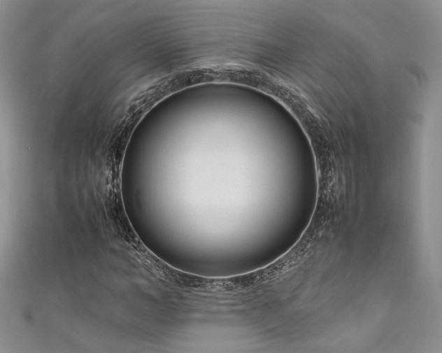 X0000111190966200907011408