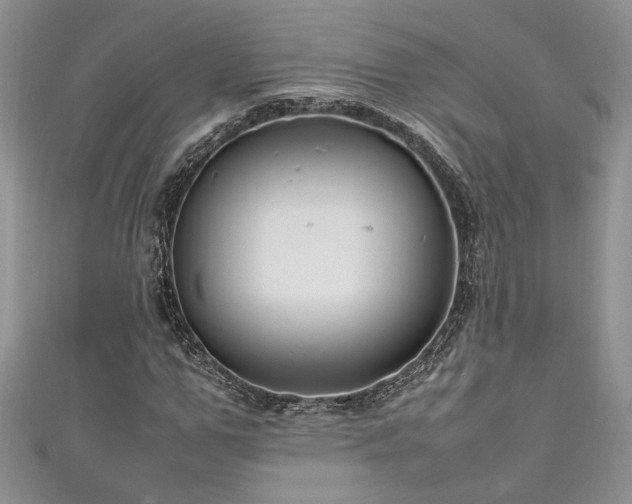 X0000111190967200907011408