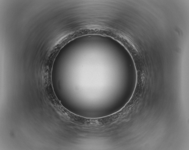 X0000111190968200907011408