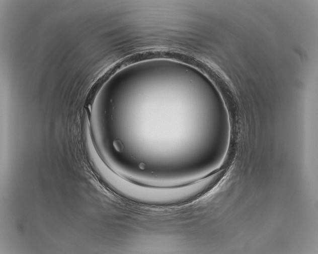 X0000111190969200907011408