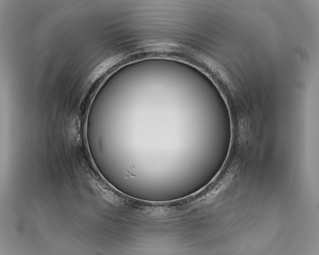 X0000111190970200907011408