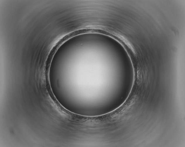 X0000111190972200907011408