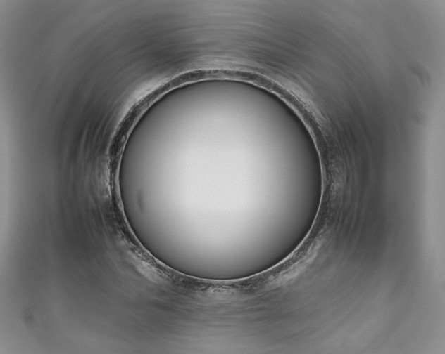 X0000111190974200907011408