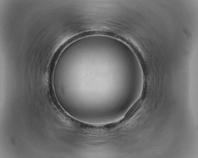 X0000111190975200907011408