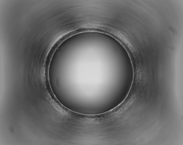 X0000111190976200907011408