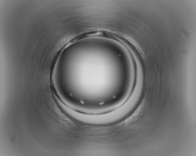 X0000111190977200907011408