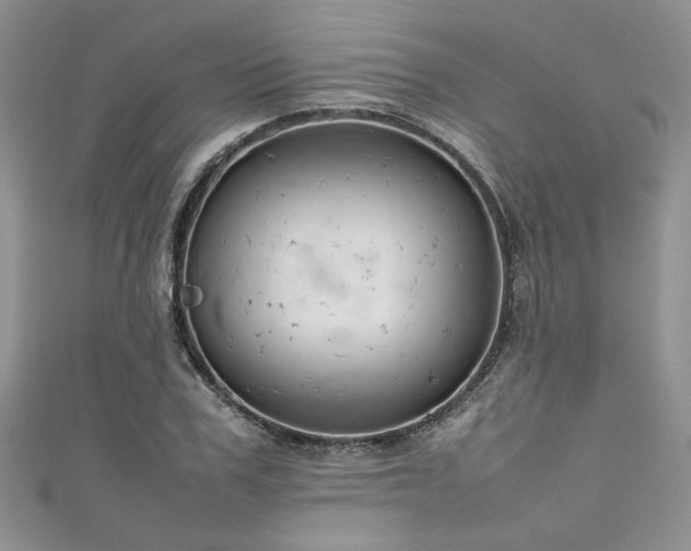 X0000111190979200907011408