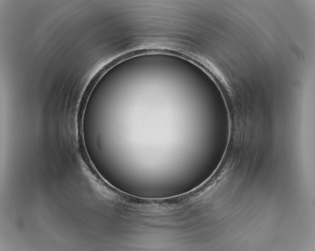 X0000111190980200907011408