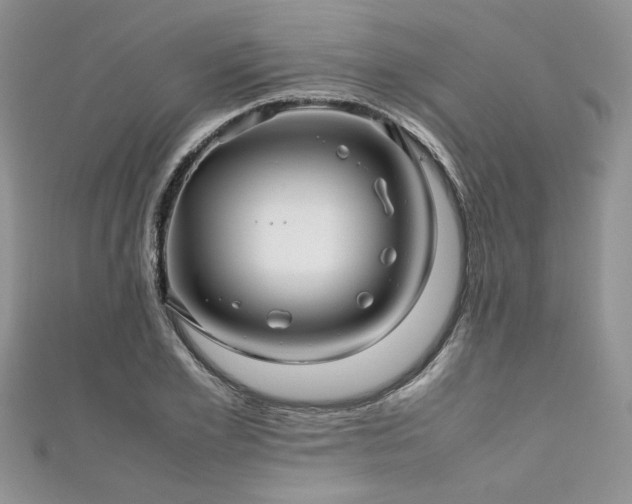 X0000111190981200907011408