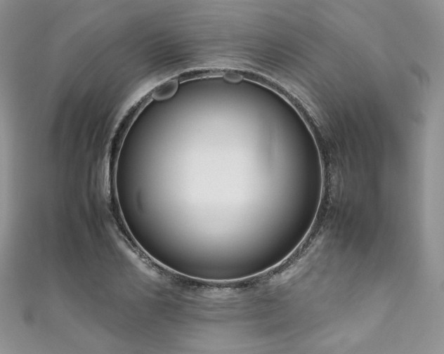 X0000111190982200907011408