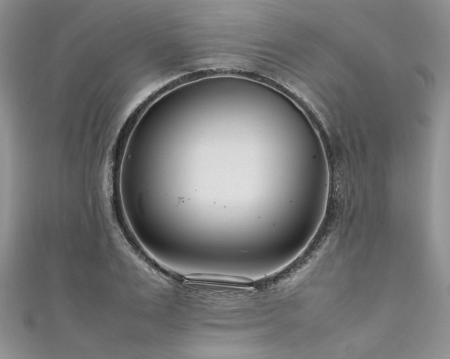 X0000111190983200907011408