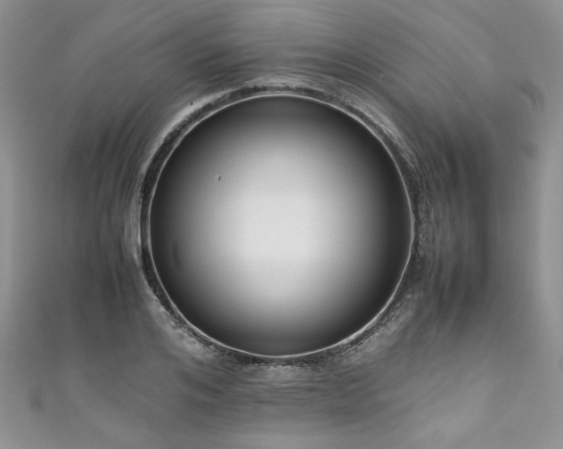 X0000111190984200907011408