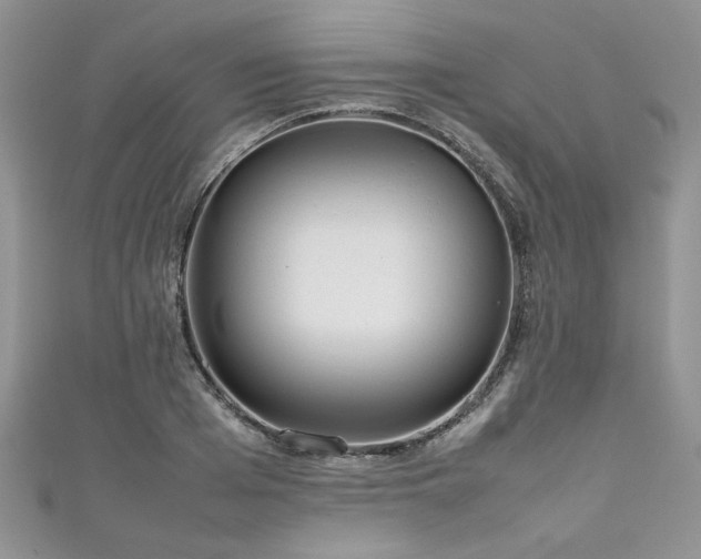 X0000111190985200907011408