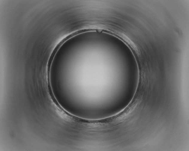 X0000111190988200907011408