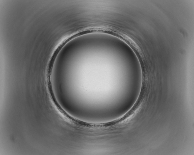 X0000111190989200907011408