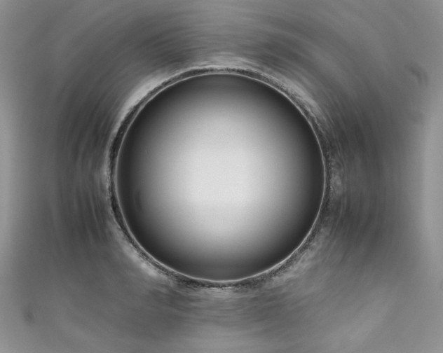 X0000111190990200907011408