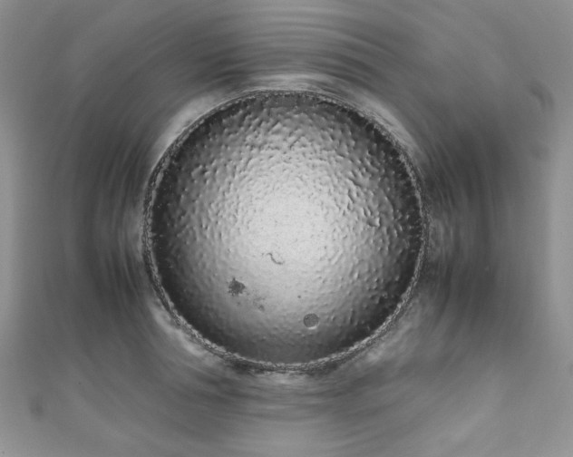 X0000111190994200907011408