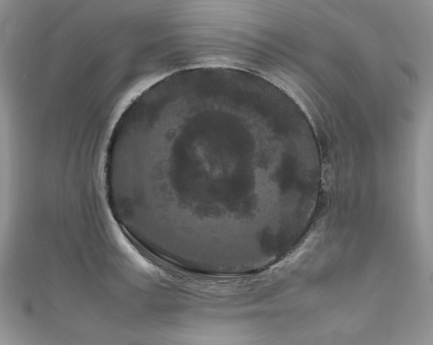 X0000111190995200907011408