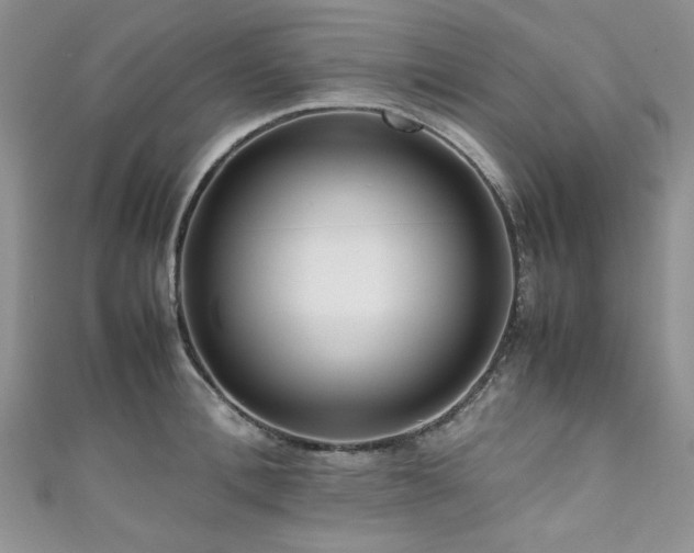 X0000111190996200907011408