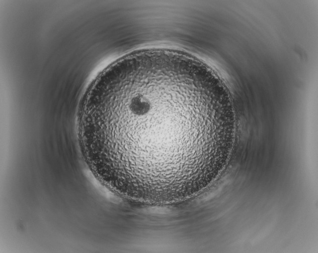 X0000111190998200907011408