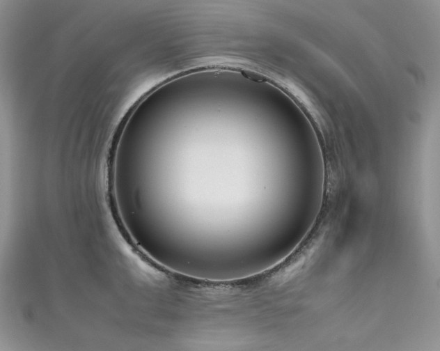 X0000111190999200907011408