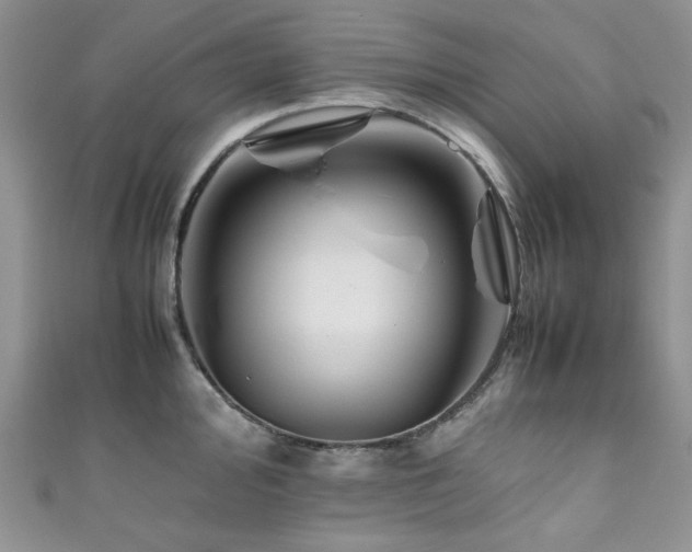 X0000111191000200907011408